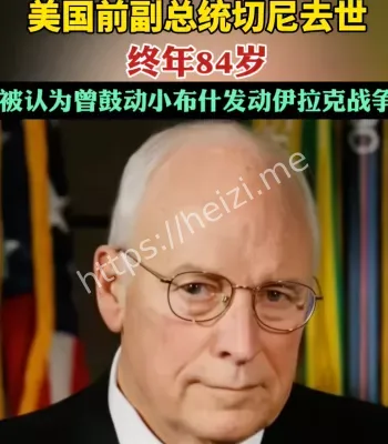 副总统切尼去世